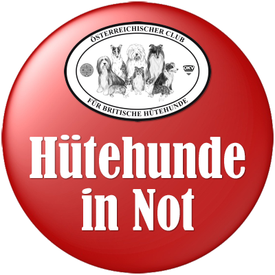 Hütehunde in Not